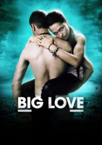Poster for the movie "Big Love"